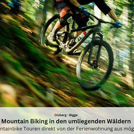 Ferienwohnungen Sauerland Und Olsberg Exterior foto