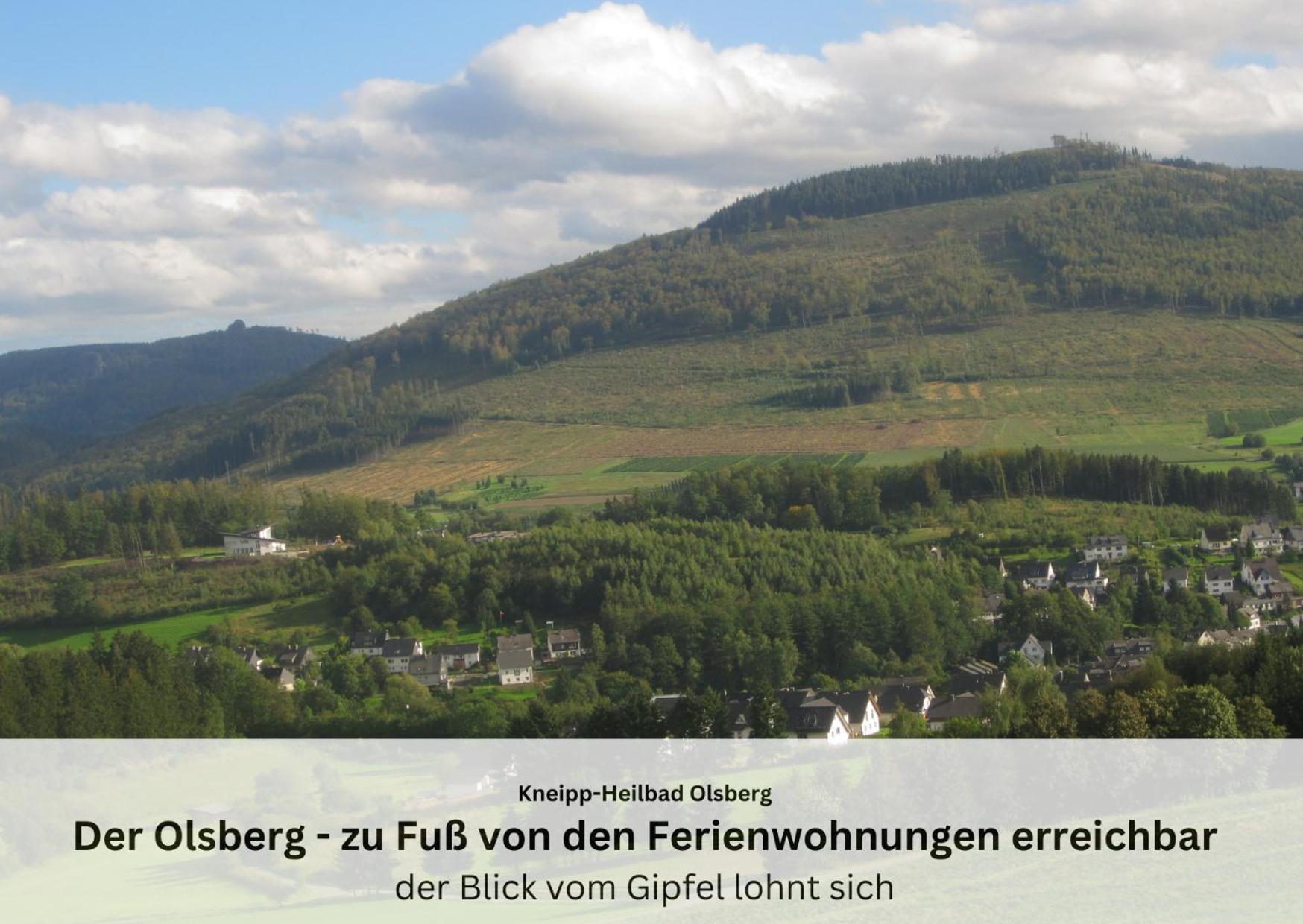 Ferienwohnungen Sauerland Und Olsberg Exterior foto
